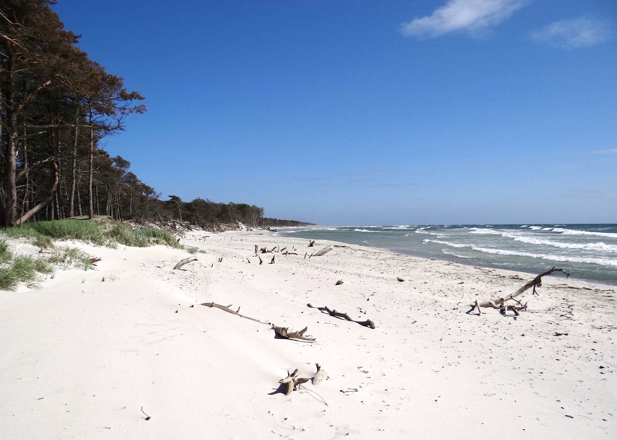 Weißer Sandstrand mit Treibholz, davor blaue Wellen