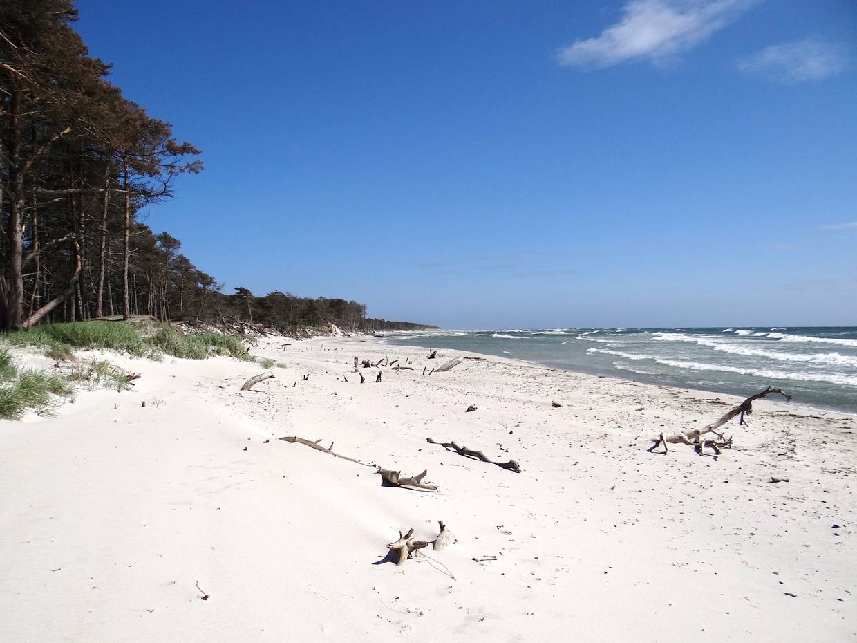 Weißer Sandstrand mit Treibholz, davor blaue Wellen