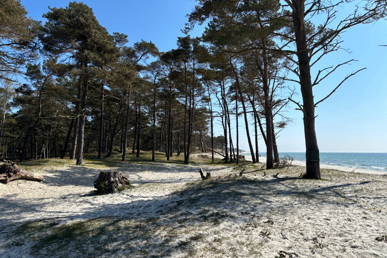 Foto von Strandmarken "Jomfrustranden"