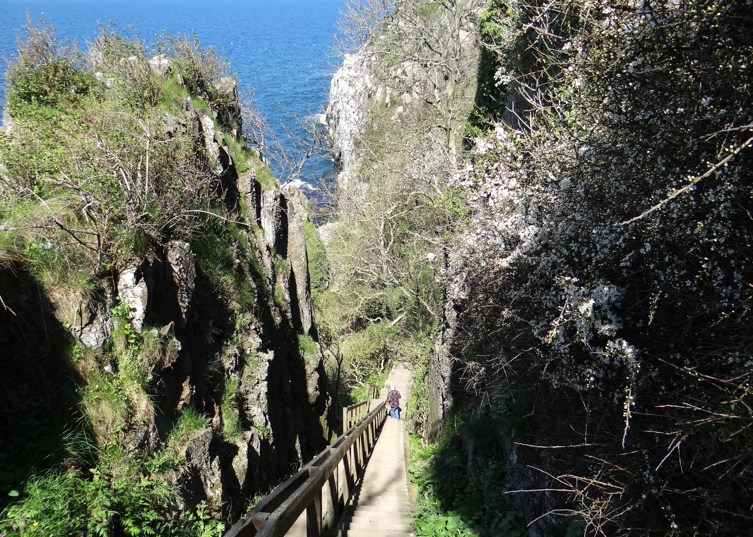 Lange Holztreppe zwischen zwei Felswänden