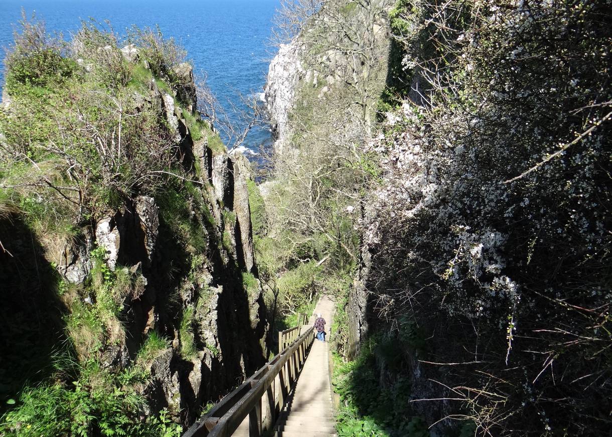 Lange Holztreppe zwischen zwei Felswänden