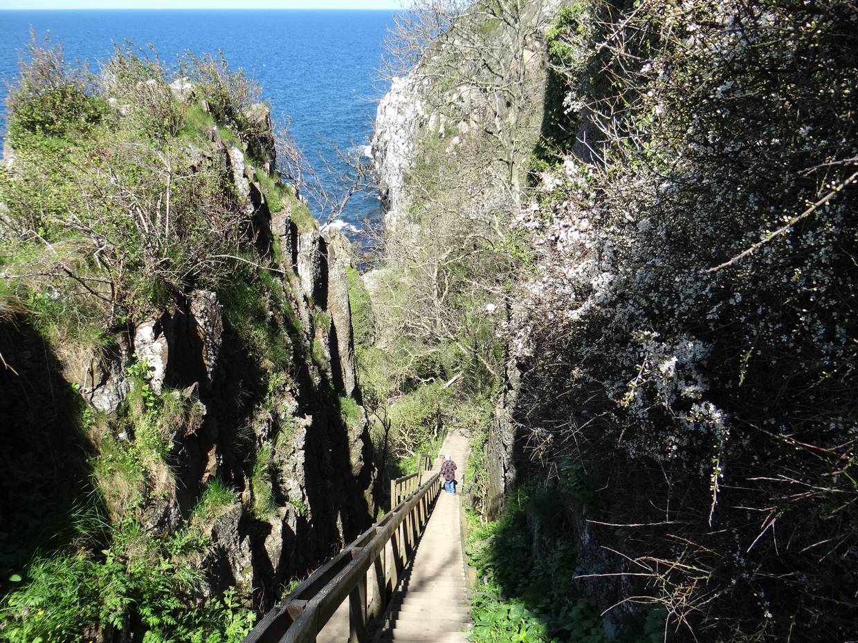 Lange Holztreppe zwischen zwei Felswänden