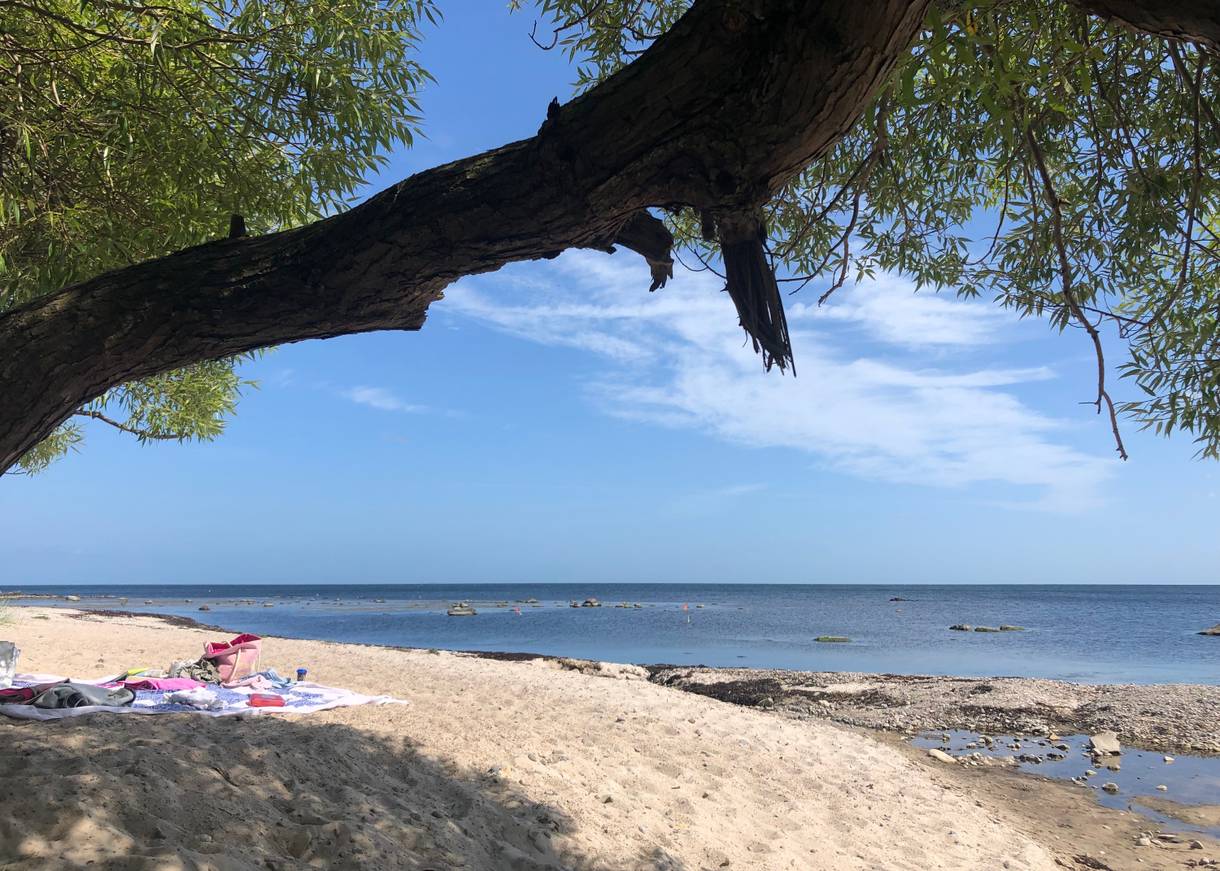 Boote am Strand, dahinter ein Dorf mit roten Dächern und weißen Schornsteinen