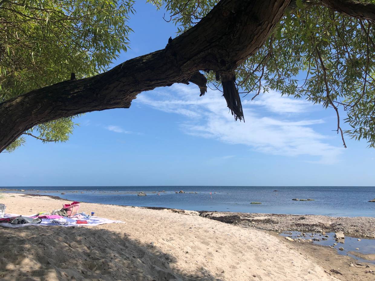 Boote am Strand, dahinter ein Dorf mit roten Dächern und weißen Schornsteinen