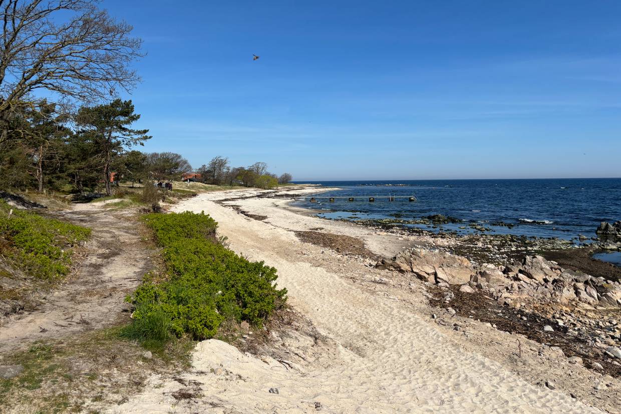 Foto von Melsted Strand