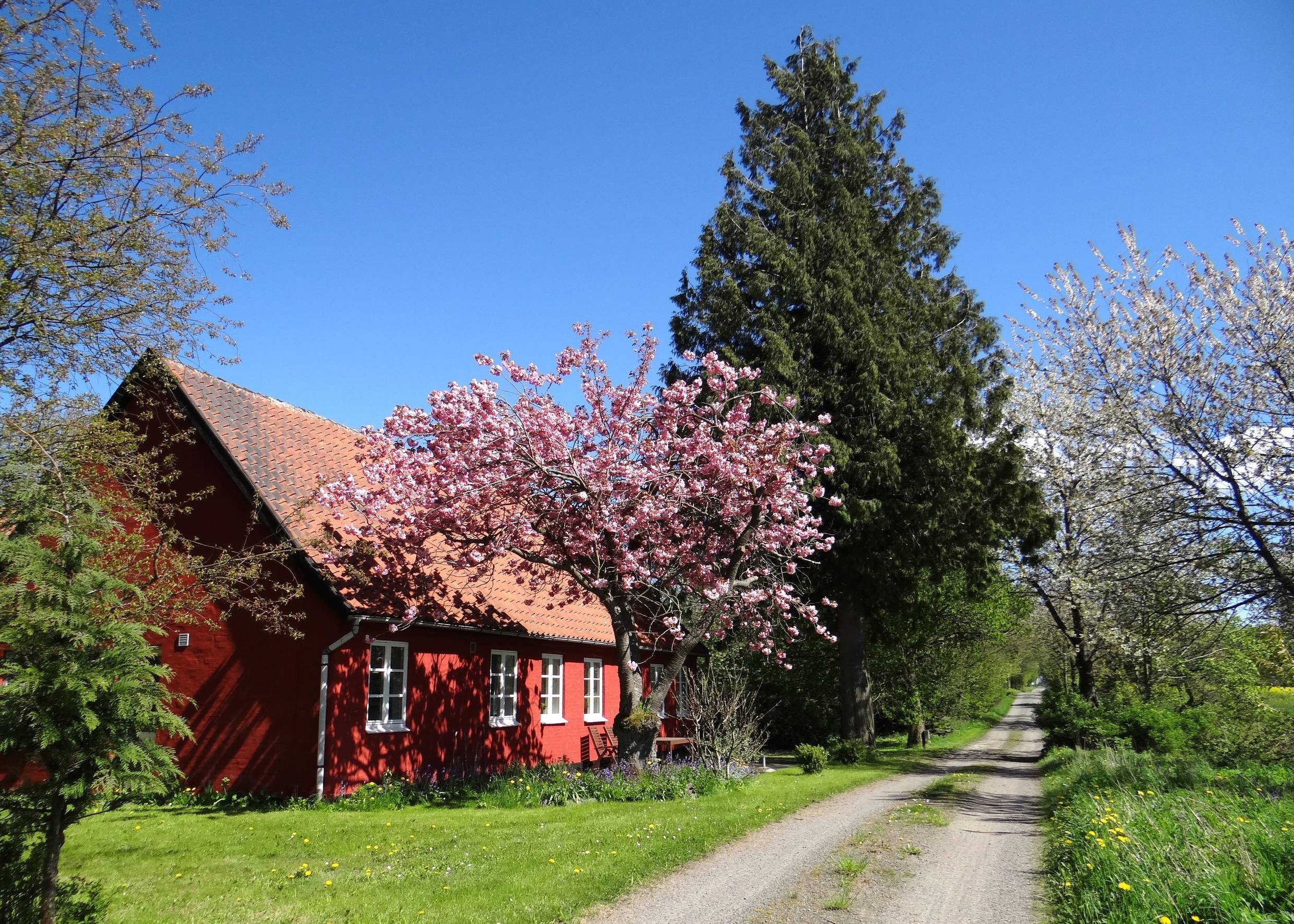 Kleines rotes Haus an einer Schotterstraße, mit blühenden Bäumen und viel Grün