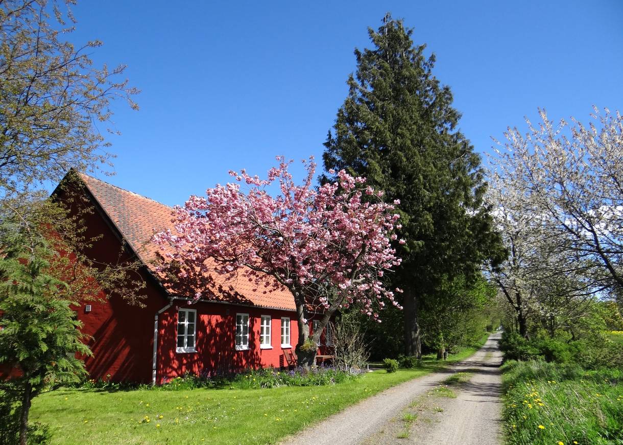 Kleines rotes Haus an einer Schotterstraße, mit blühenden Bäumen und viel Grün
