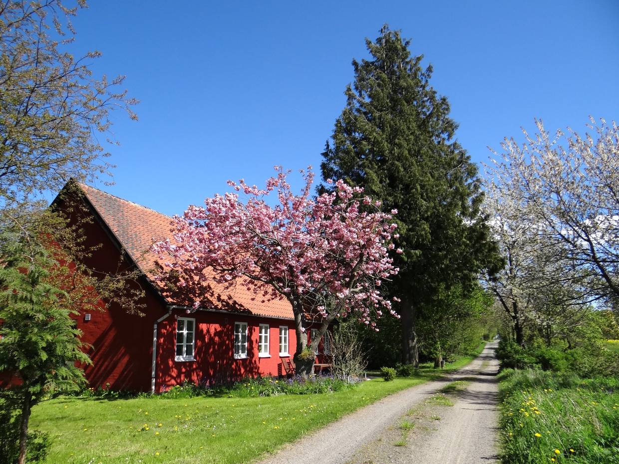 Kleines rotes Haus an einer Schotterstraße, mit blühenden Bäumen und viel Grün