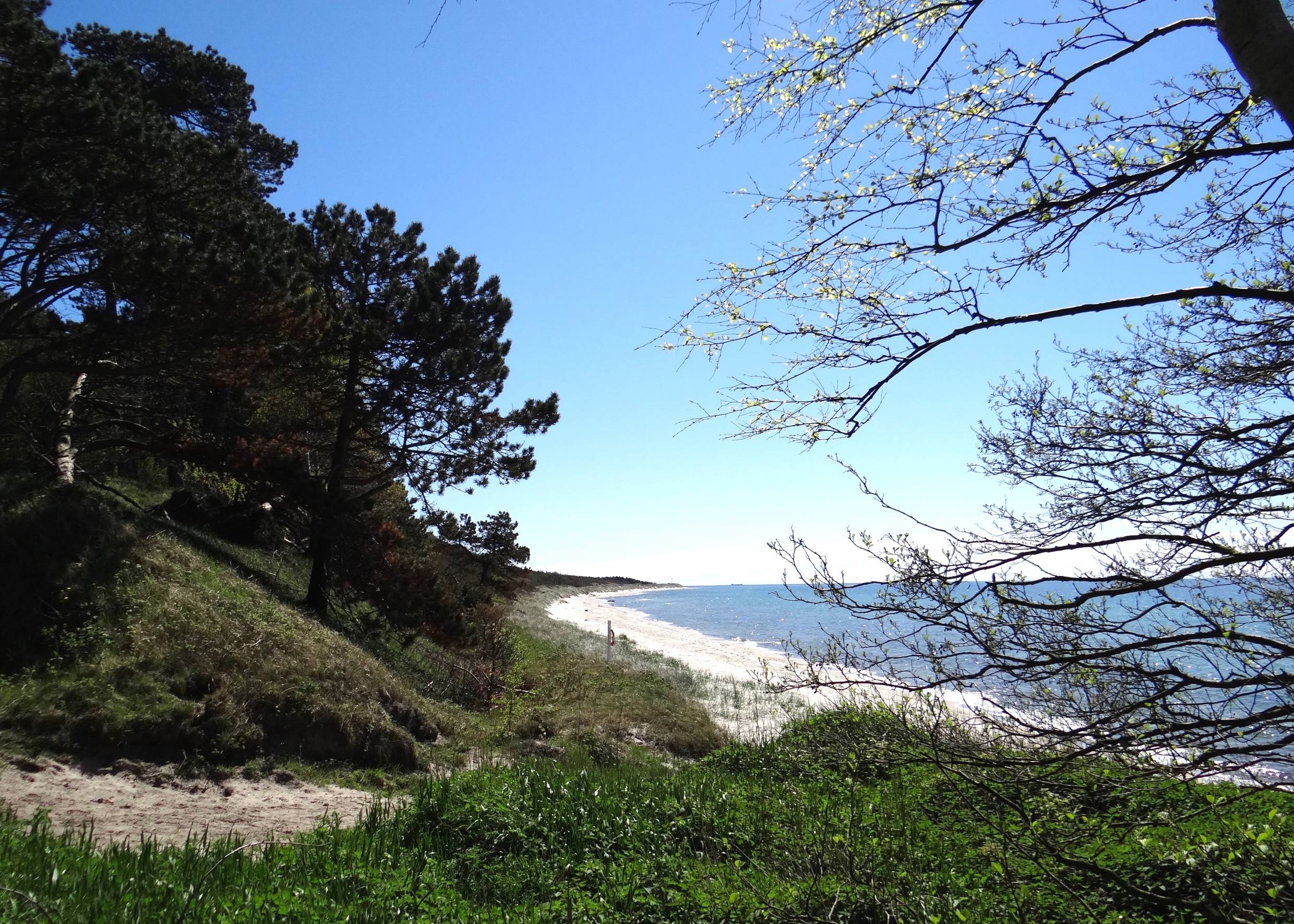 Eine Sandbucht am Meer, umgeben von einem grünen Hang