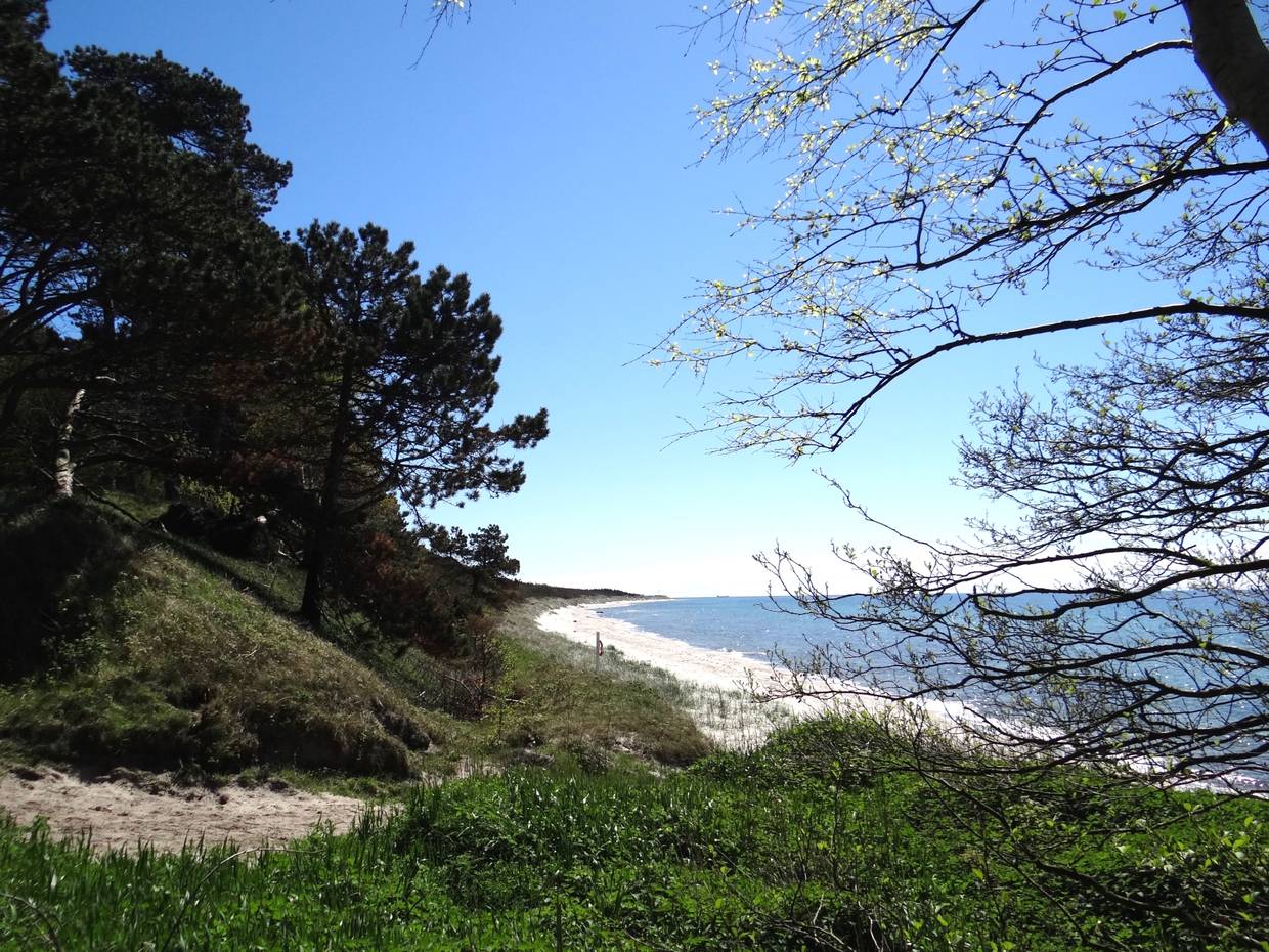 Eine Sandbucht am Meer, umgeben von einem grünen Hang