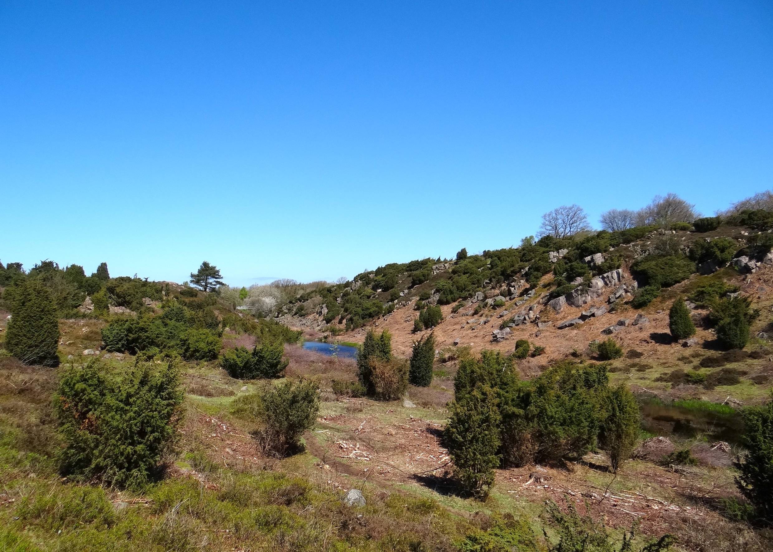 Ein Tal mit einem kleinen See, umgeben von Heide und Wacholderbüschen