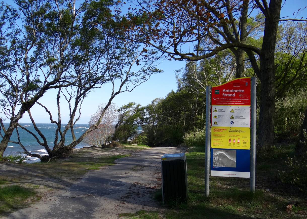 Waldweg am Meer mit einem Schild zum den Strandgegebenheiten