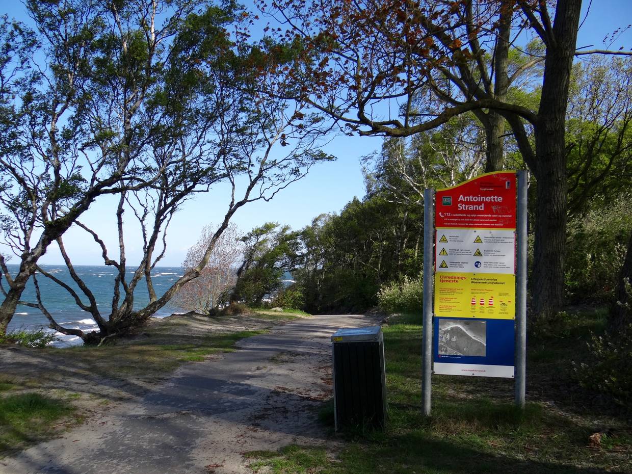 Waldweg am Meer mit einem Schild zum den Strandgegebenheiten