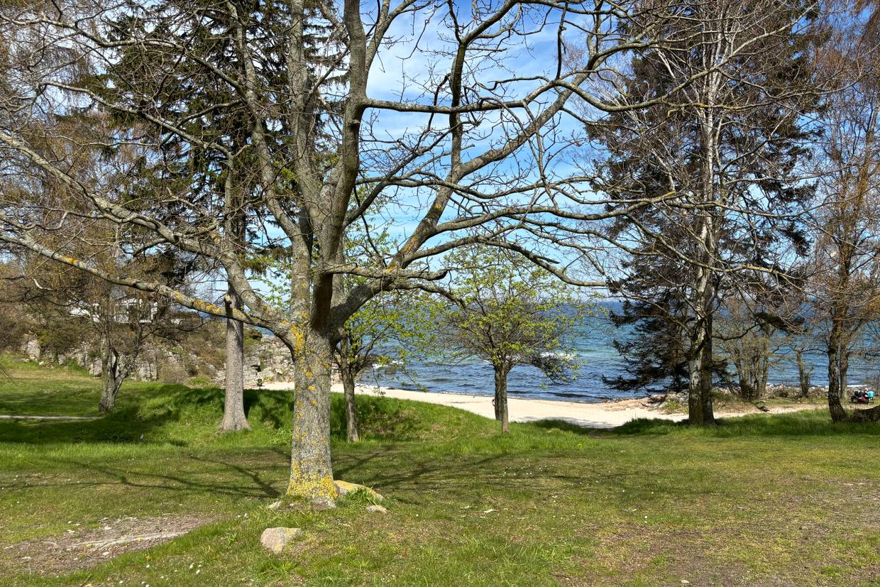 Foto von Sandkås Strand