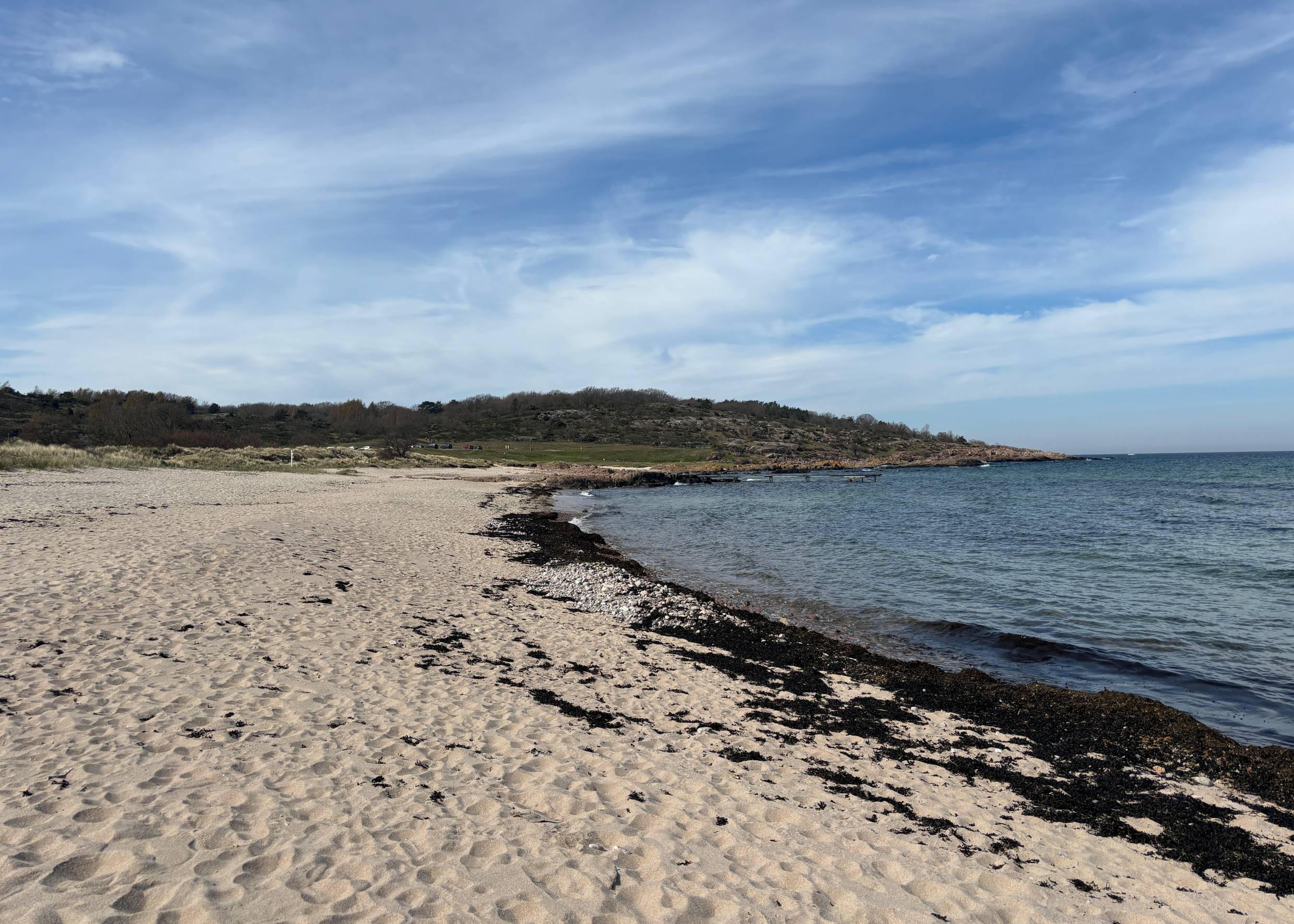 Sandbucht am Meer mit weißem Sand und viel Tang