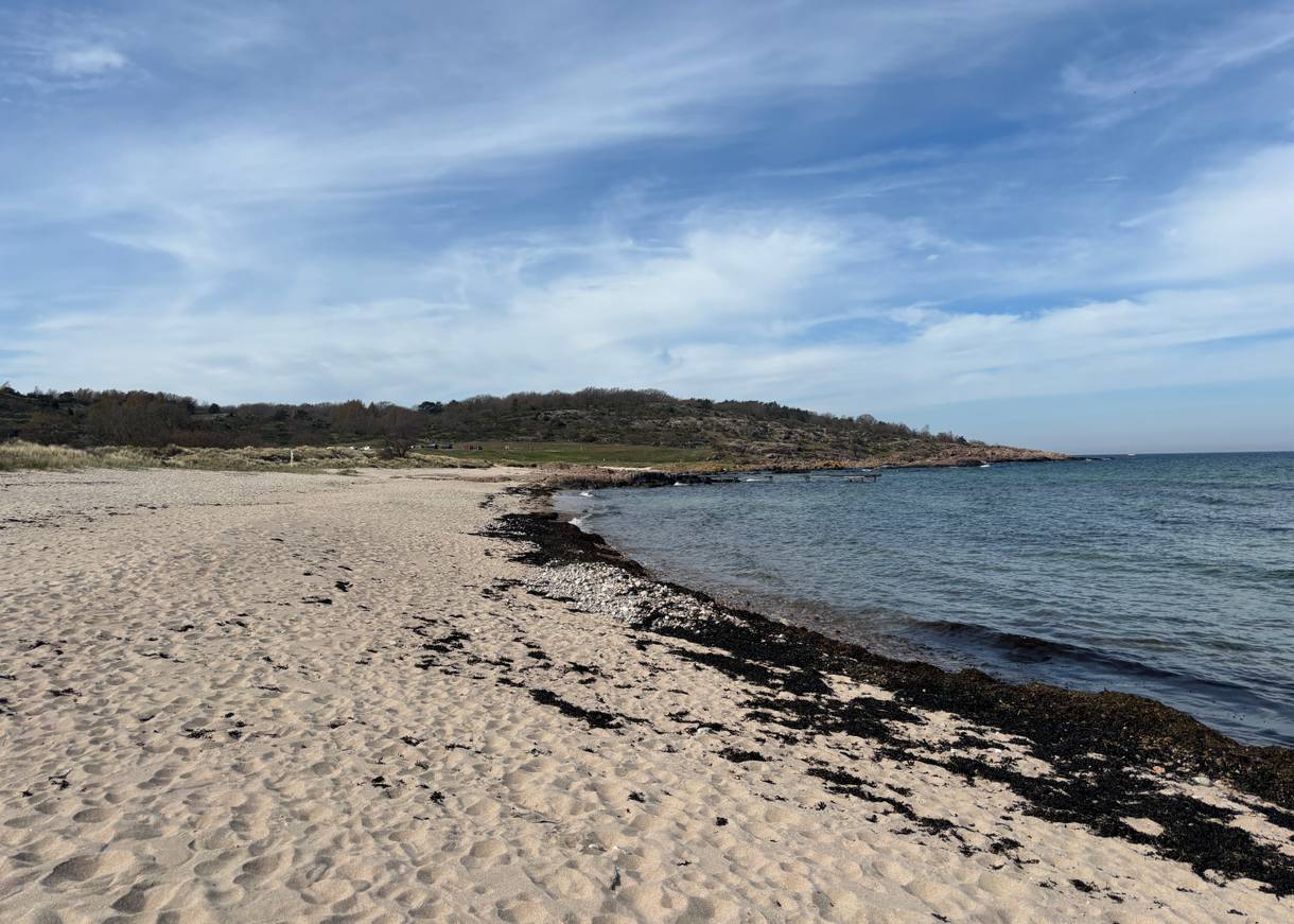 Sandbucht am Meer mit weißem Sand und viel Tang