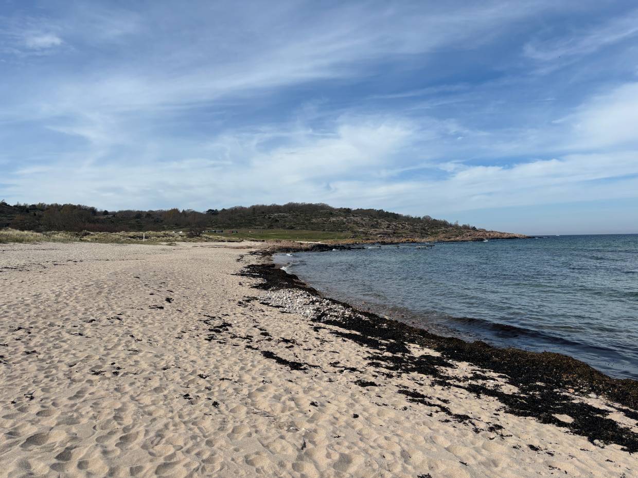 Sandbucht am Meer mit weißem Sand und viel Tang