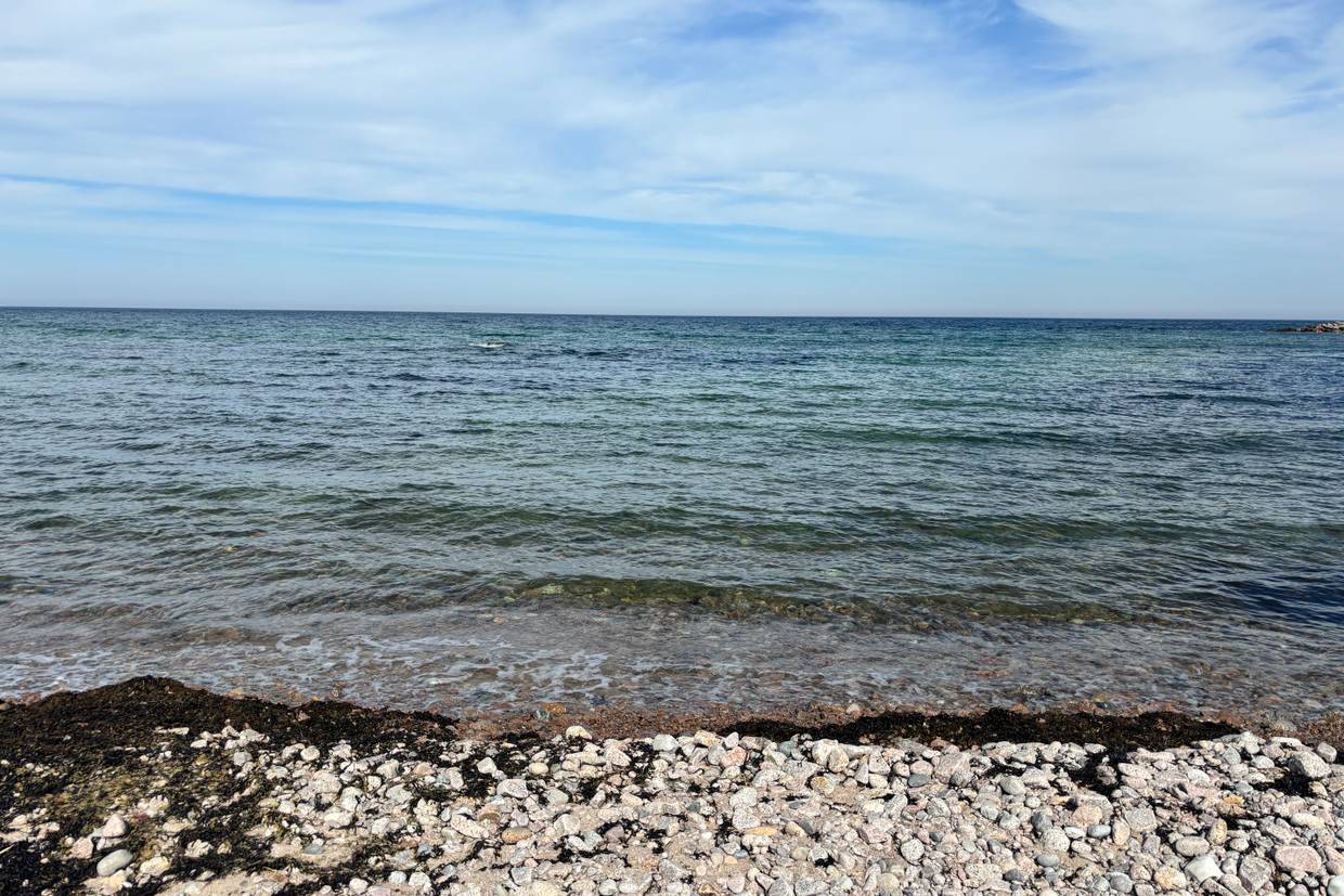 Foto von Sandvig Strand