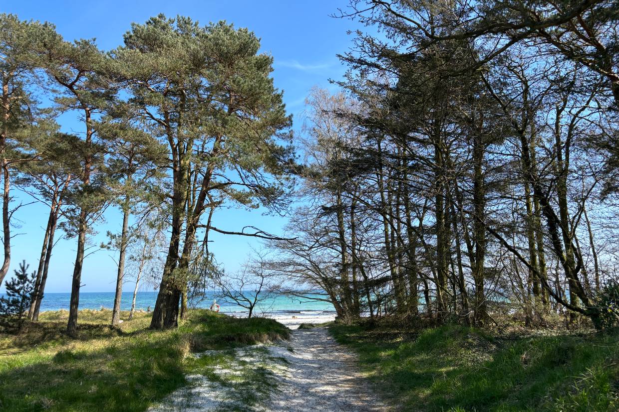 Foto von Snogebæk Strand