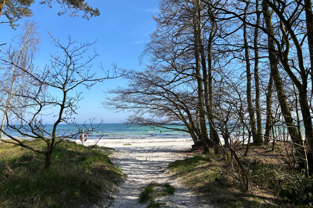Foto von Snogebæk Strand