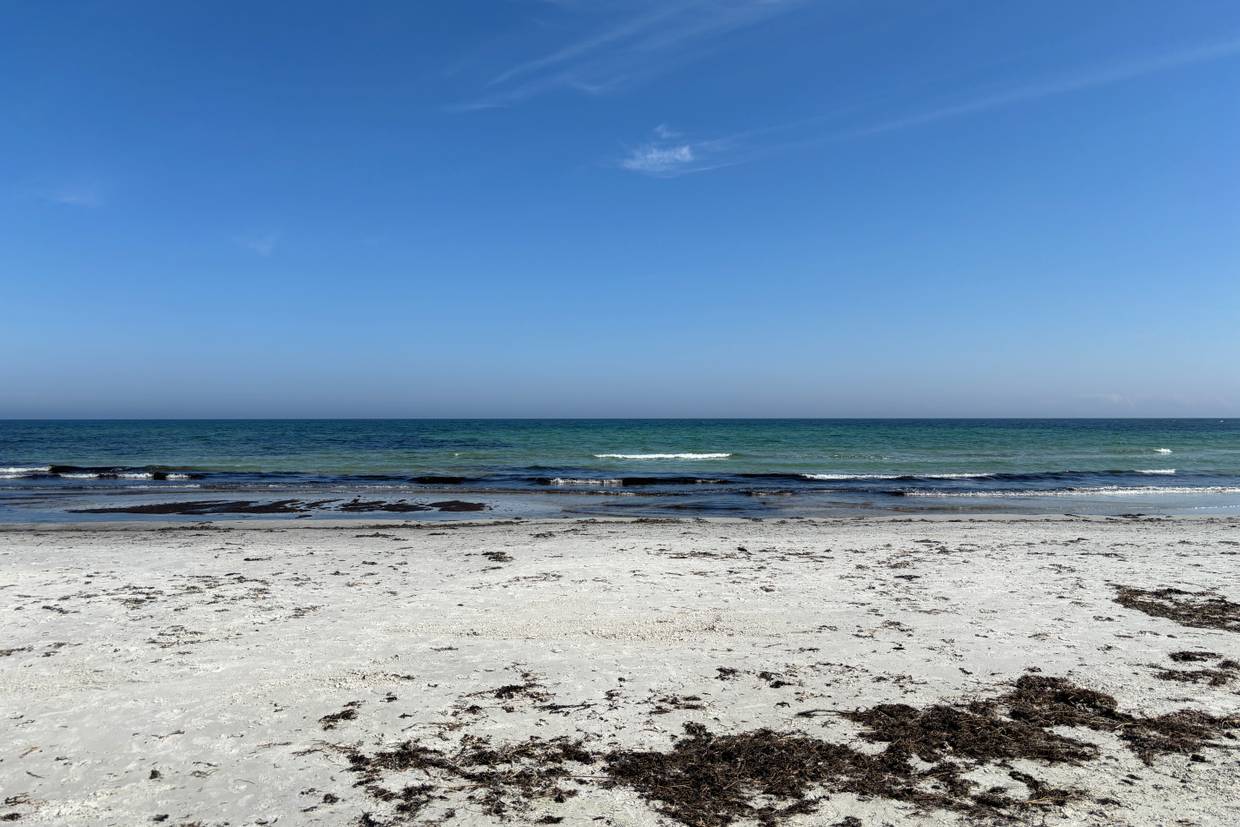 Foto von Snogebæk Strand
