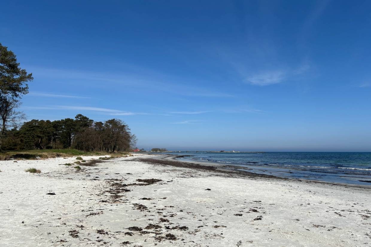 Foto von Snogebæk Strand
