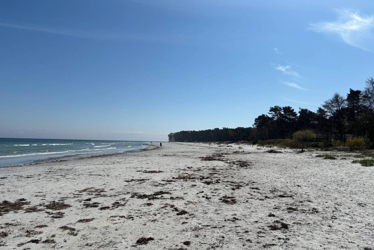 Foto von Snogebæk Strand