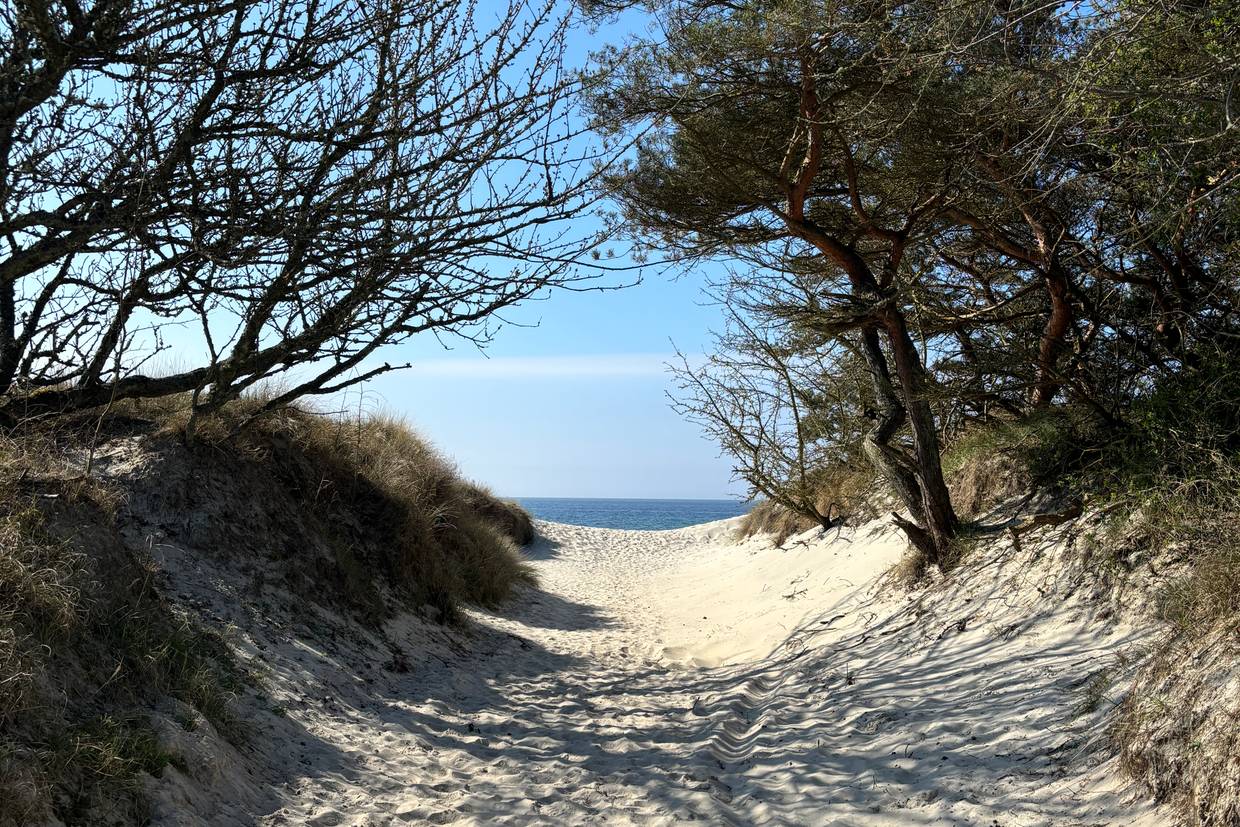 Foto von Vester Sømarken Strand