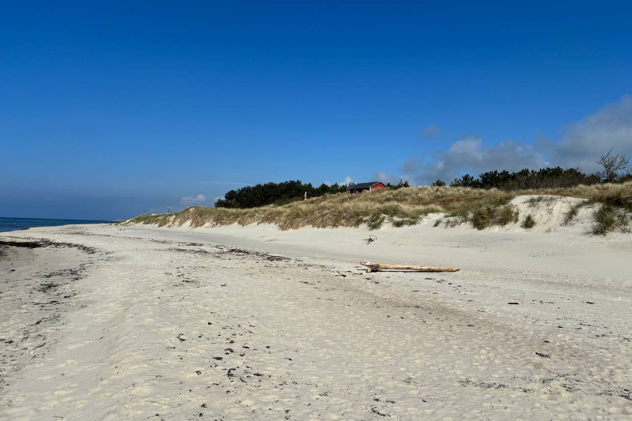 Foto von Vester Sømarken Strand