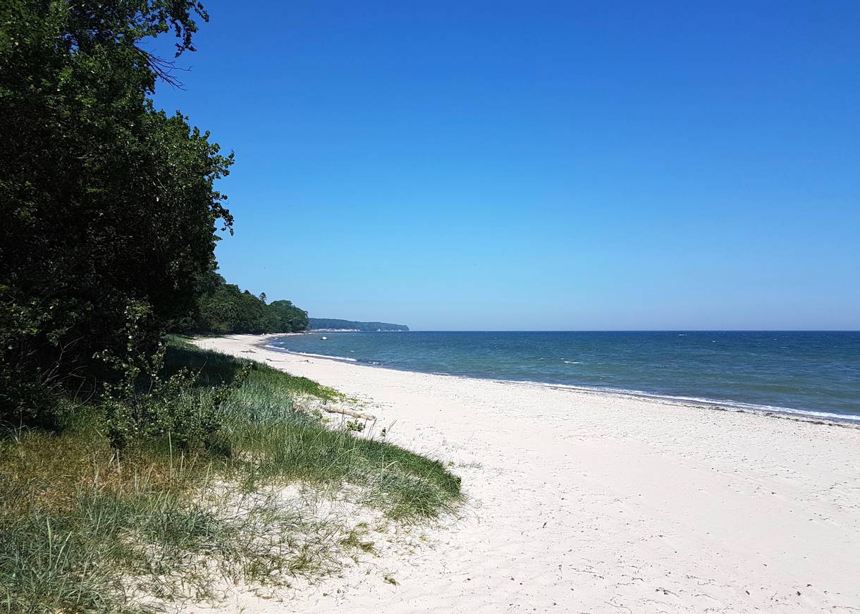 Weißer Sandstrand vor dem Wald