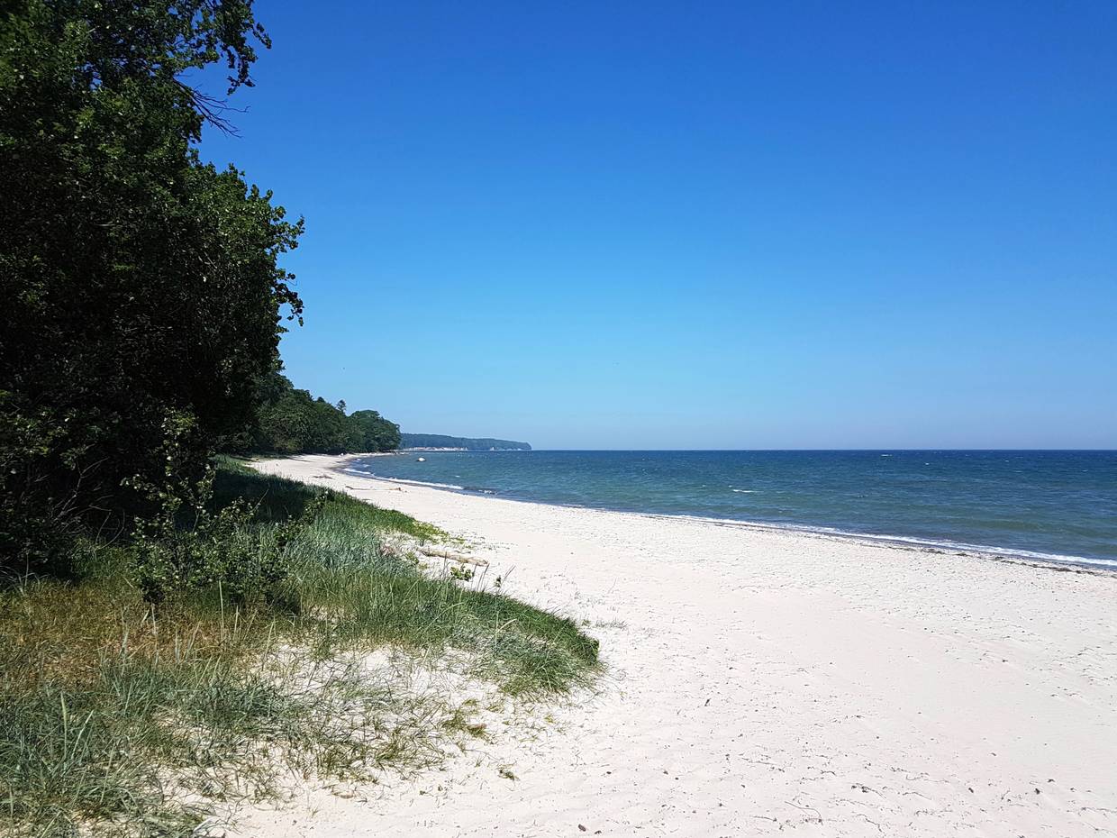 Weißer Sandstrand vor dem Wald