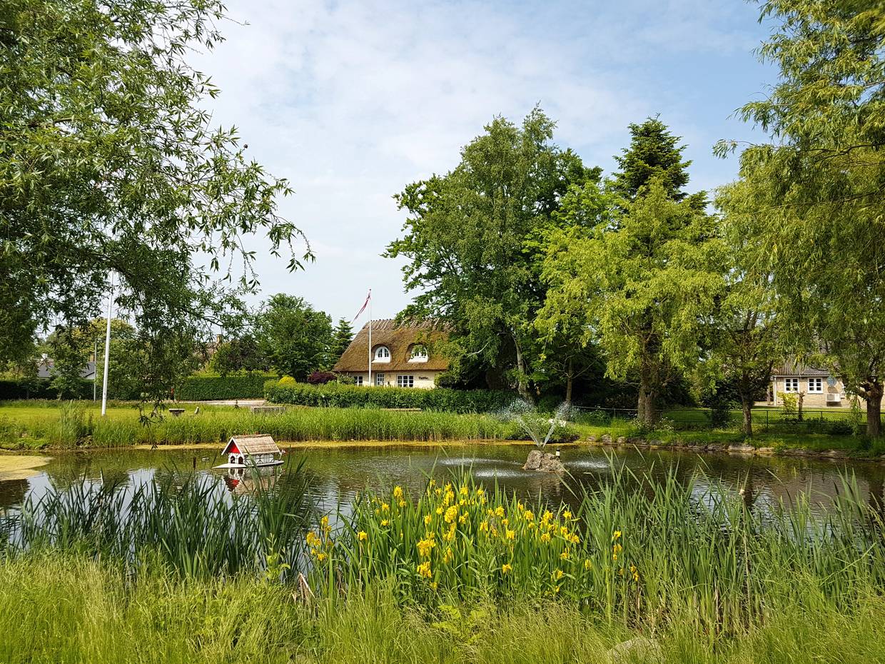 Dorfteich mit Blumen und Bäumen
