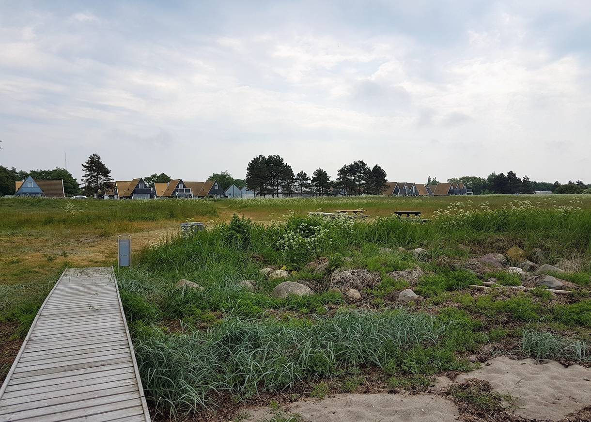 Kleine Nurdachhäuser hinter einer Wiese am Meer
