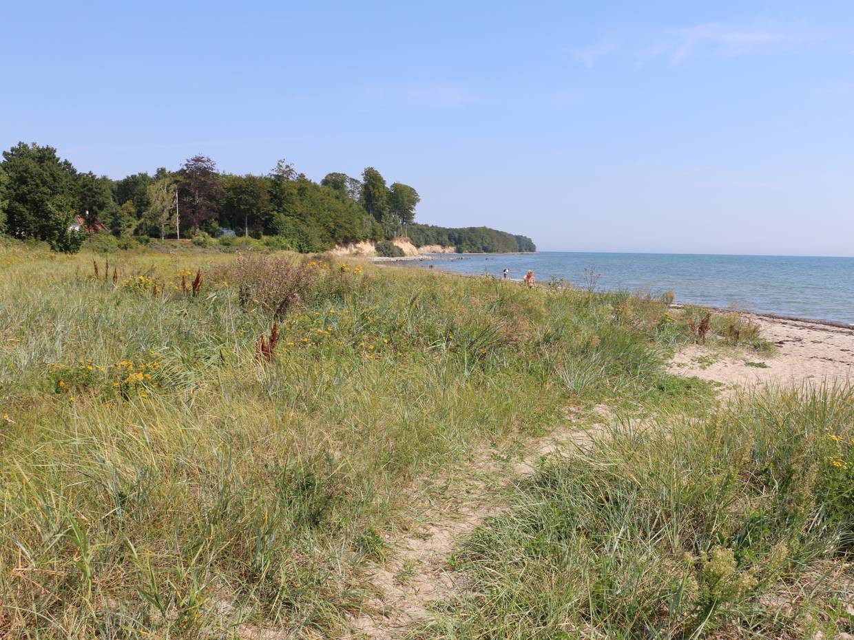 Ein schmaler Weg führt zum Strand