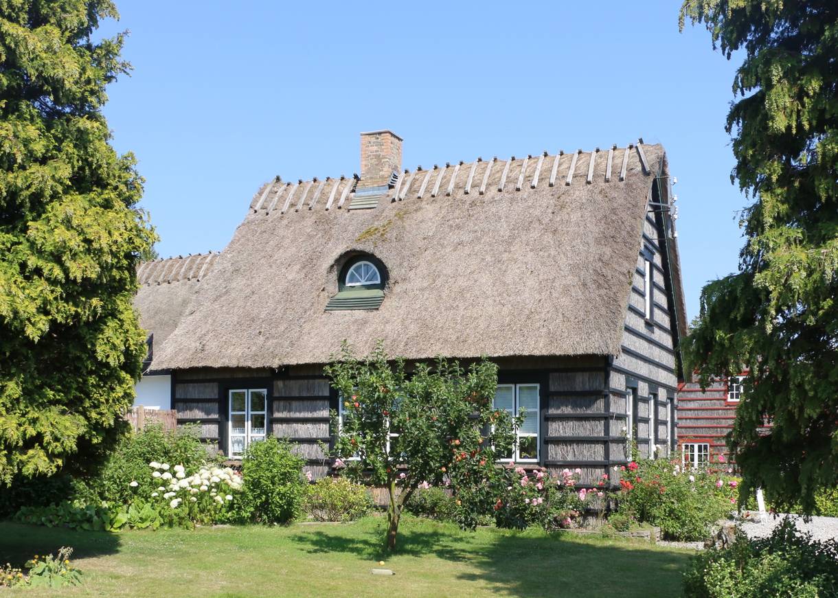 Reetdachaus in Hesnæs