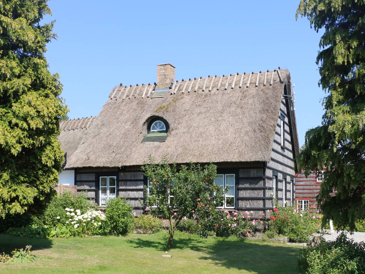 Reetdachaus in Hesnæs