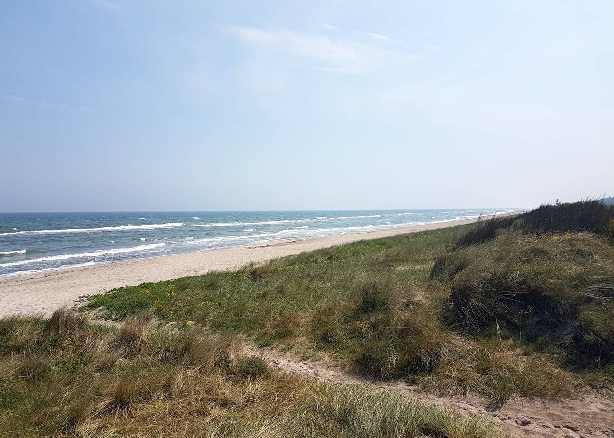 Sandstrand mit flachen Dünen und blauer Himmel