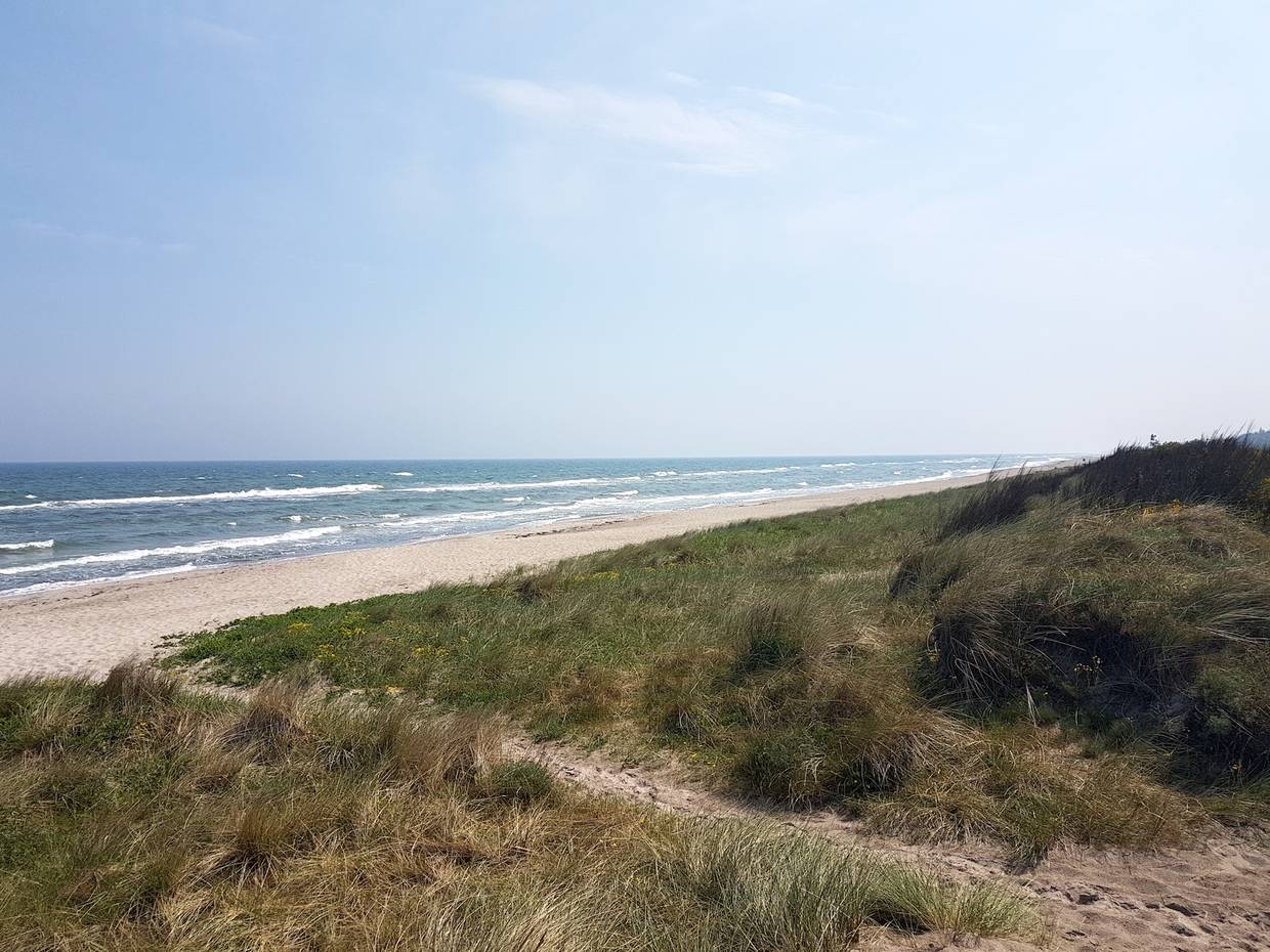 Sandstrand mit flachen Dünen und blauer Himmel