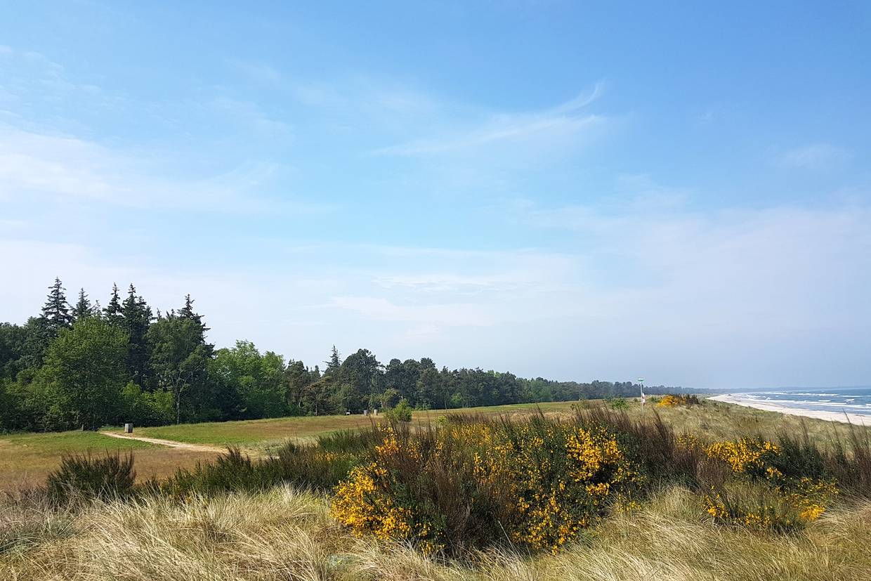 Foto von Bøtø Strand