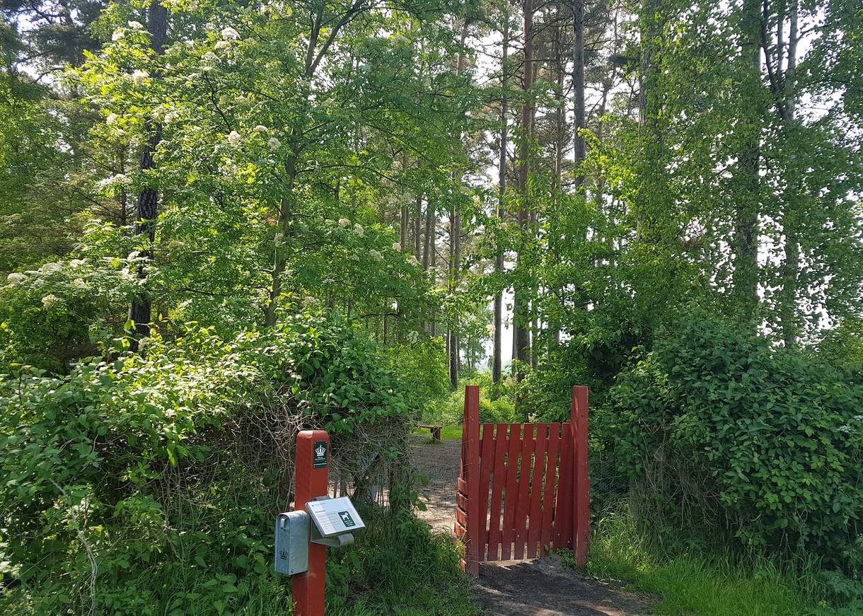 Kleines, rotes Tor aus Holz markiert den Eingang zum Hudenwald
