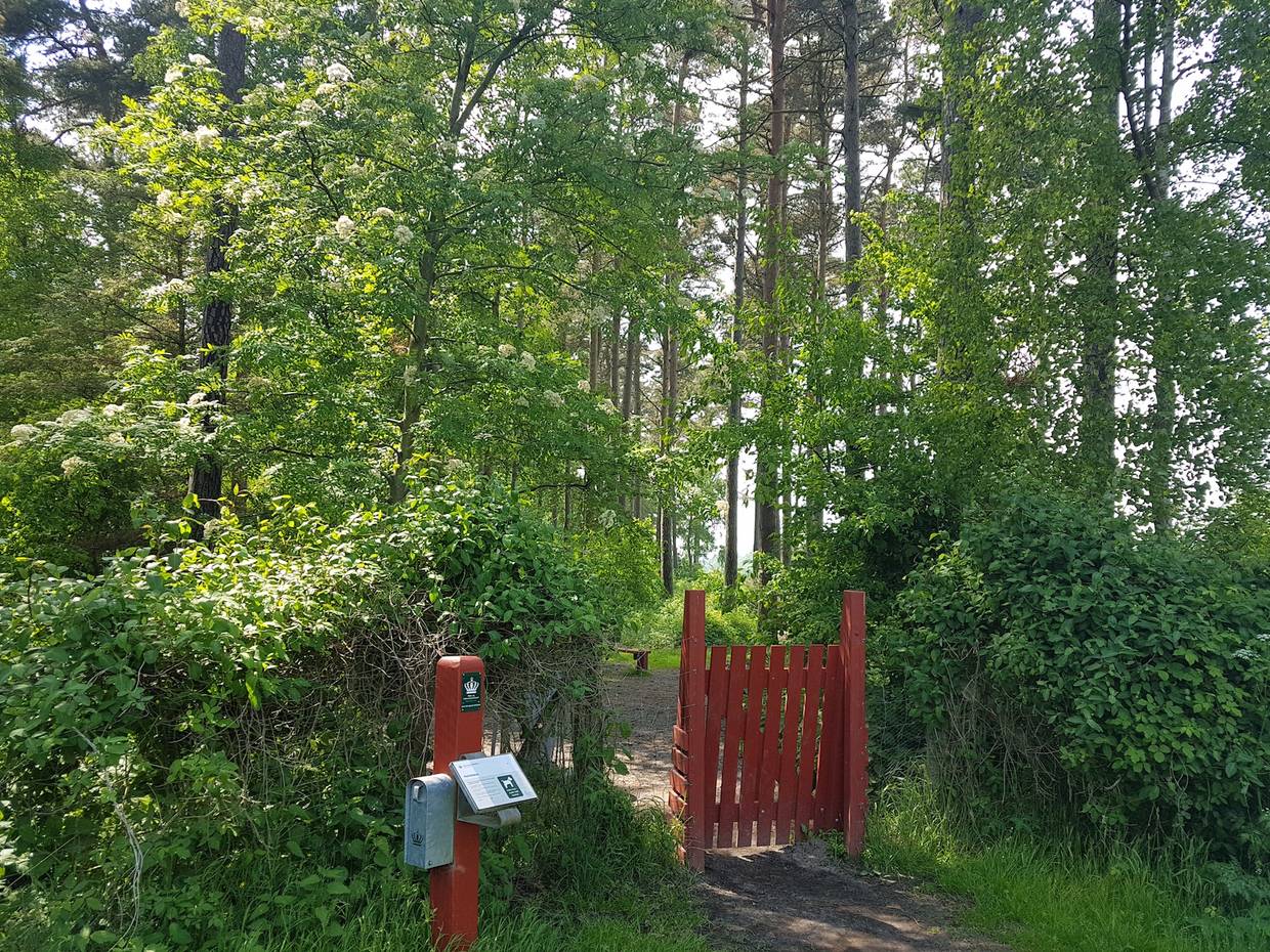 Kleines, rotes Tor aus Holz markiert den Eingang zum Hudenwald