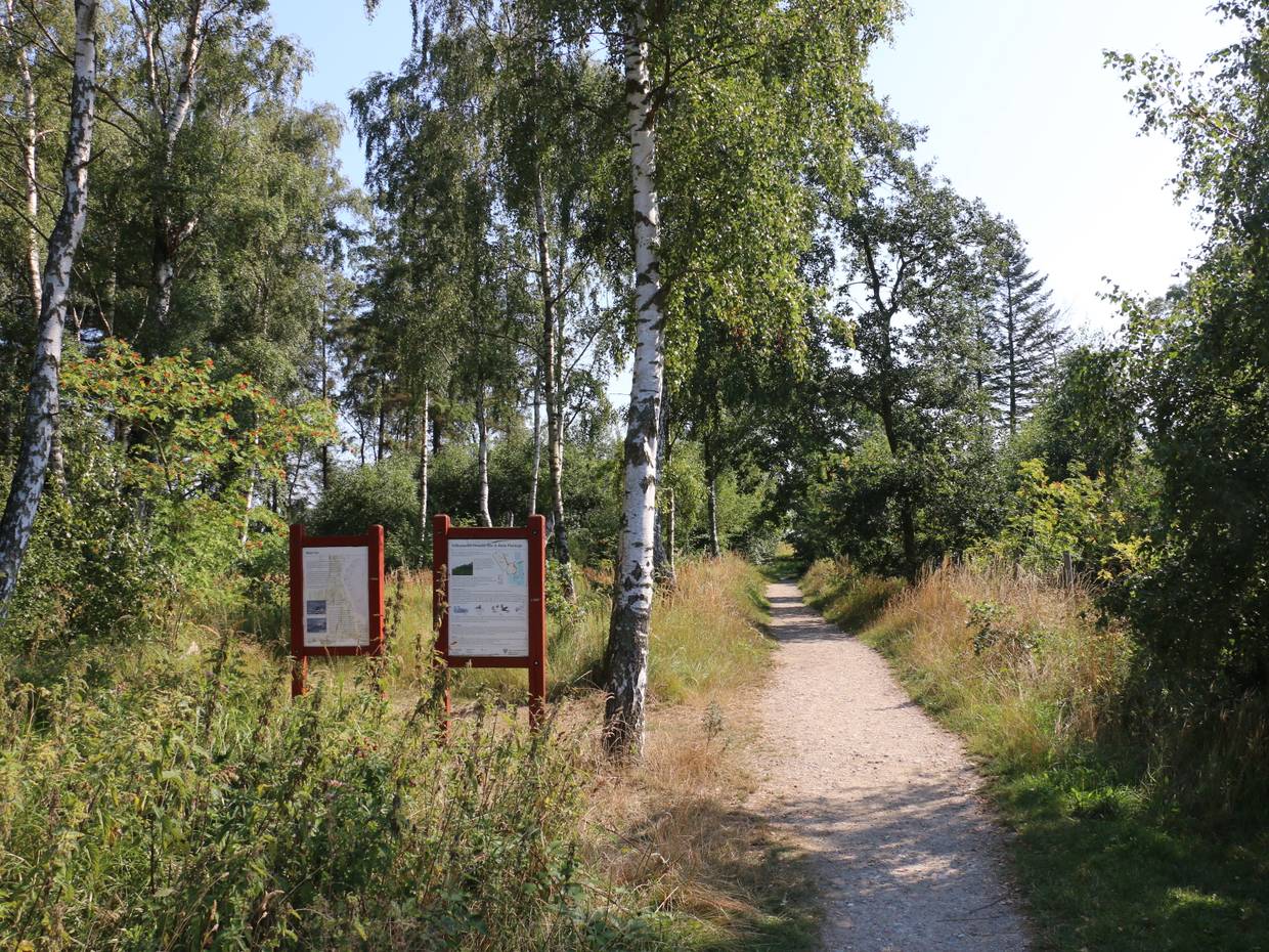 Wanderweg in der Bøtø Plantage