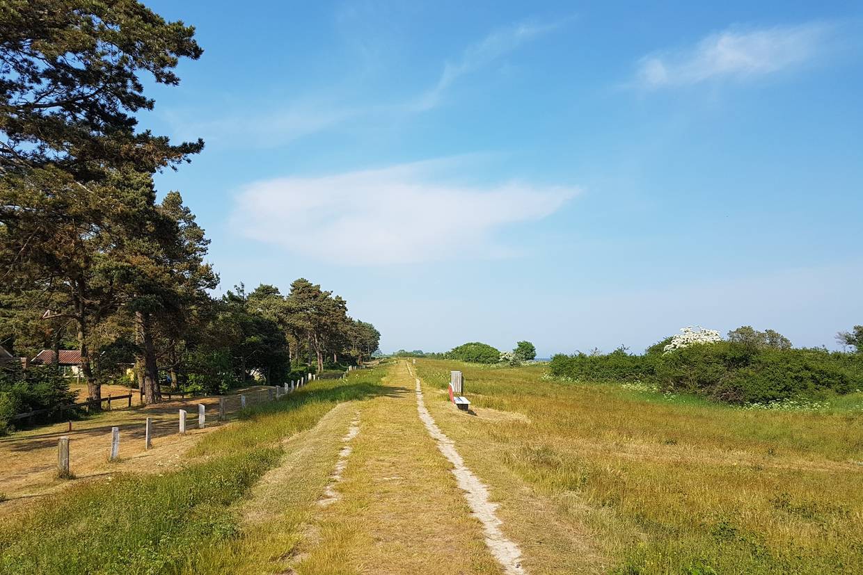 Foto von Elkenøre Strand