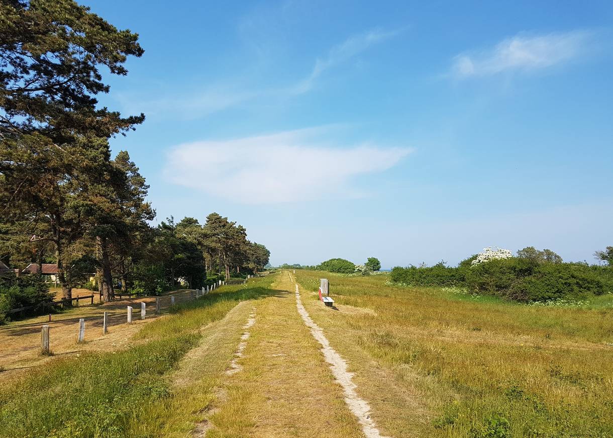 Kleiner Deich mit schmalem Radweg