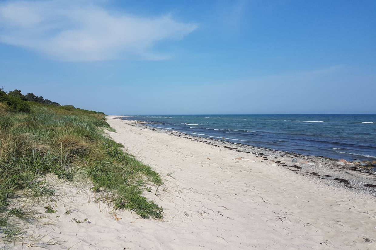 Foto von Elkenøre Strand