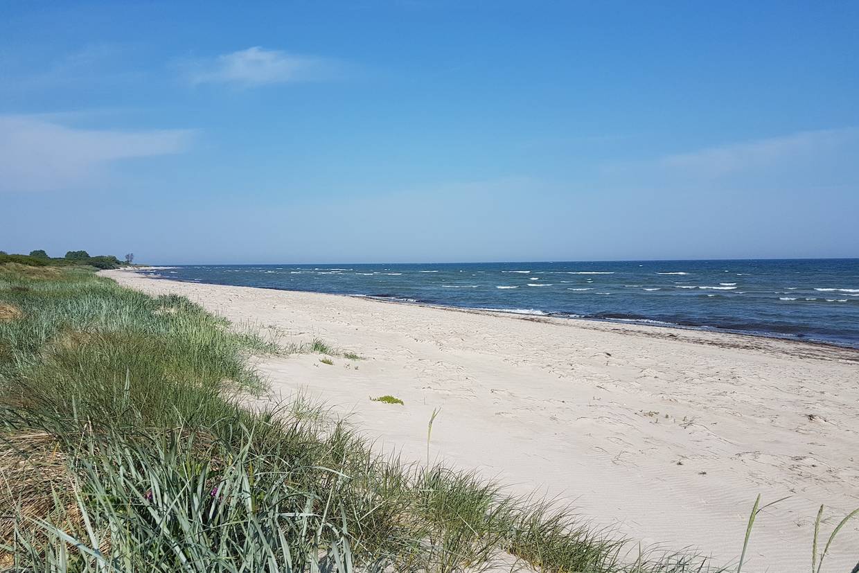Foto von Elkenøre Strand