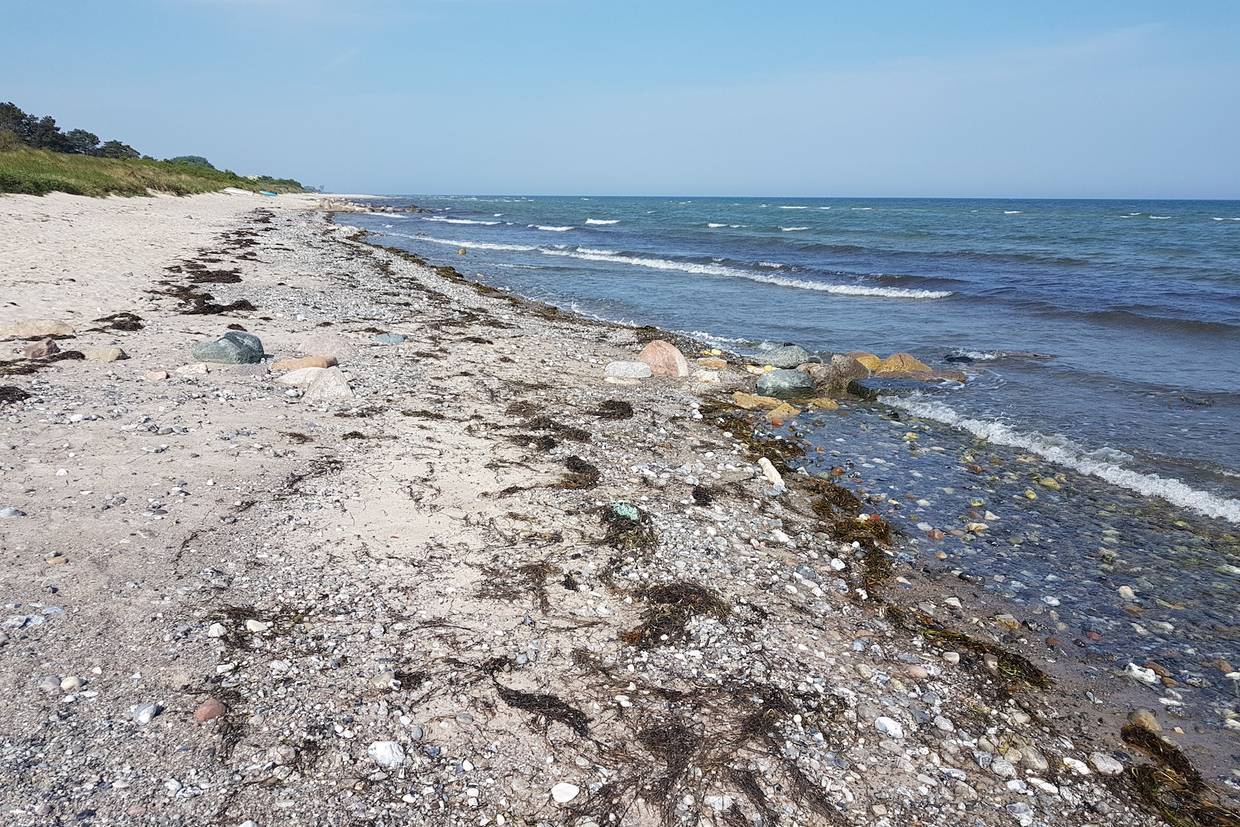Foto von Elkenøre Strand