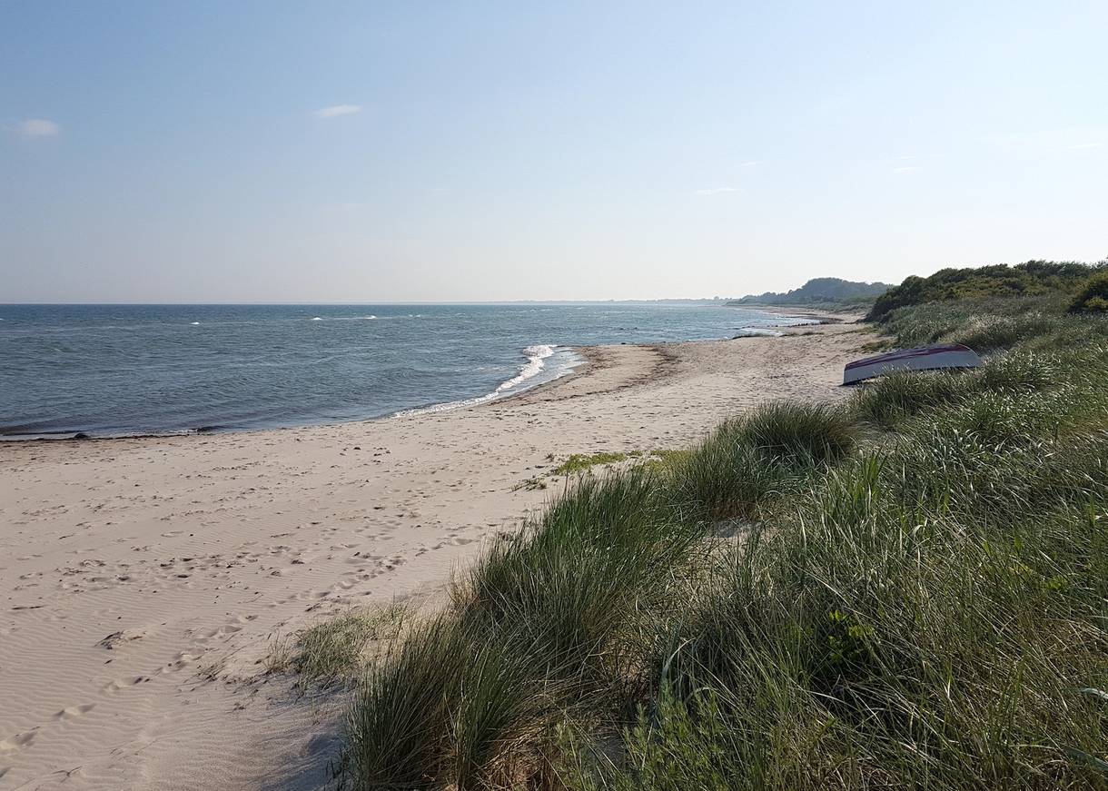 Sandstrand mit vielen kleinen Buchten vor einer flachen Düne