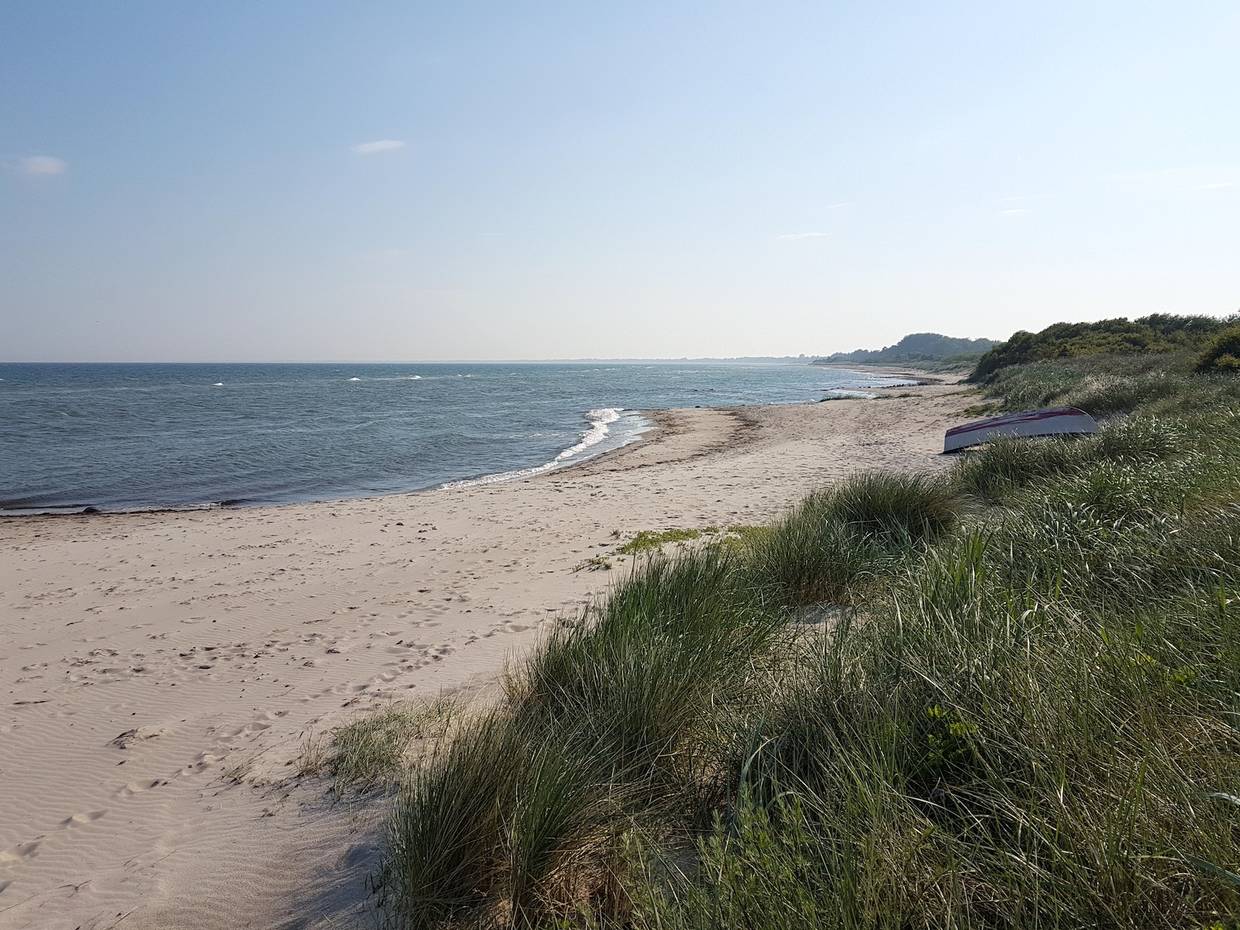 Sandstrand mit vielen kleinen Buchten vor einer flachen Düne