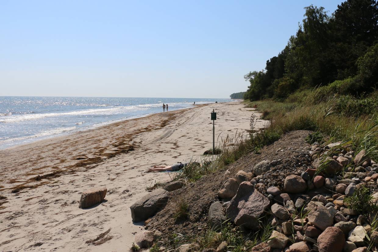 Foto von Sønder Aslev Strand